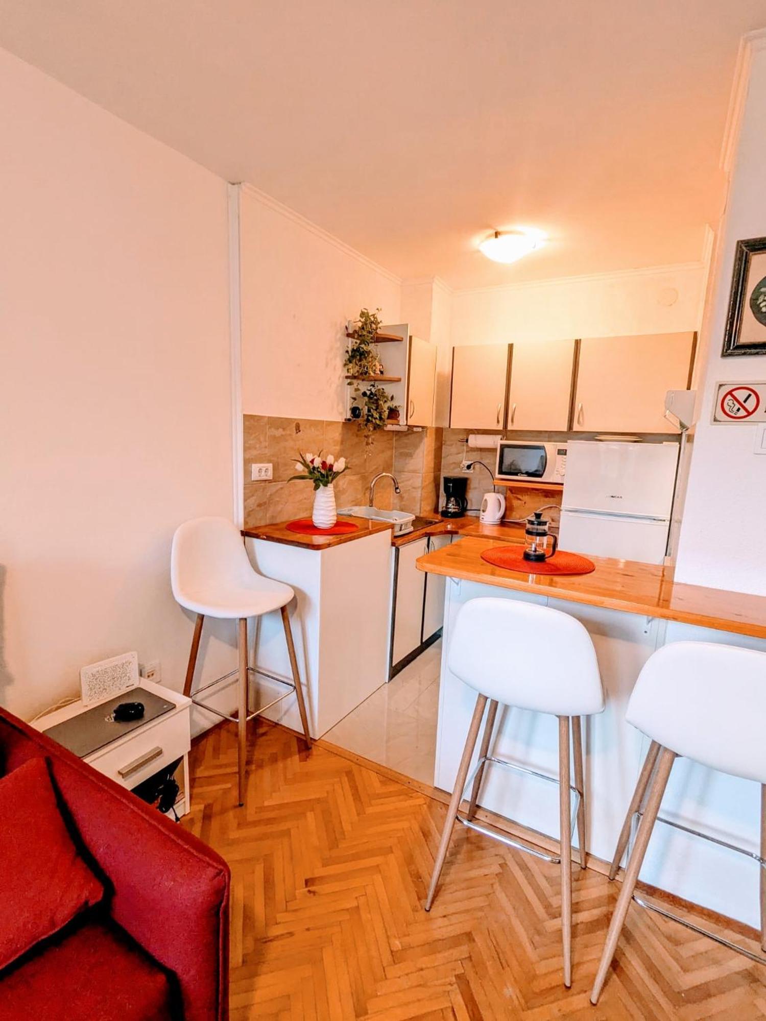 Demass Apartment - Cozy, Free Parking And Wifi Dubrovnik Eksteriør bilde